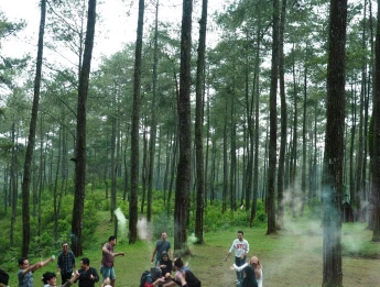 Gallery Gathering Bandung 73 ~blog/2024/12/9/cam_1_230